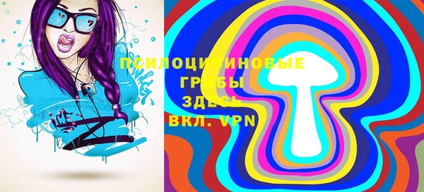 спиды Новозыбков
