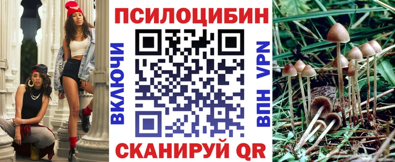 закладки  Грязи  Галлюциногенные грибы ЛСД 